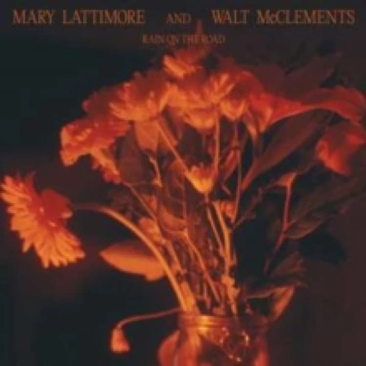 Image of Mary Lattimore and Walt McClements Julio Alix Brinkley DzShwPG5811eEKPM Faddish Clover Case Cover For Galaxy S4 (Vinyl)
