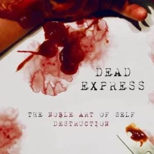 Image of The Noble Art of Self Destruction by Dead Express CD Album