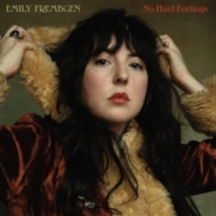 Image of No hard feelings Vinyl