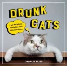Image of Drunk Cats : Hilarious Snaps of Wasted Cats