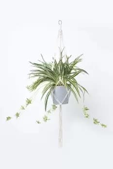 Image of Artificial Hanging Basket Spider Plant, 95 cm