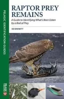 Image of Raptor Prey Remains : A Guide to Identifying What's Been Eaten by a Bird of Prey