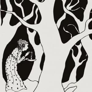 Image of Wilderness Love by Shadow Band CD Album