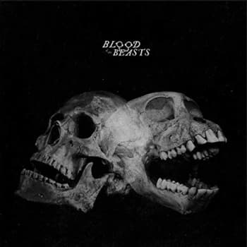 Image of Sect - Blood Of The Beasts Vinyl