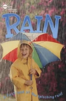 Image of Rain by Lauren Taylor Book