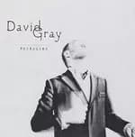 Image of David Gray - Foundling (Music CD)
