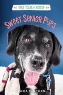 Image of sweet senior pups