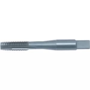 Image of 1/4"-28 UNF HSS-EV Sp/Pt Tap-oxidised