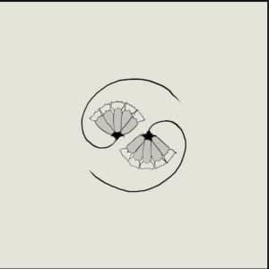 Image of Godspeed You Black Emperor - G_d's Pee At State's End Vinyl