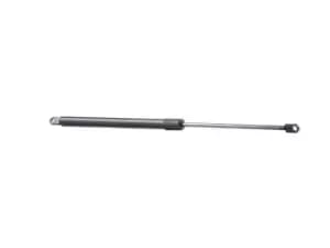 Image of RIDEX Tailgate strut BMW 219G0278 51248103118