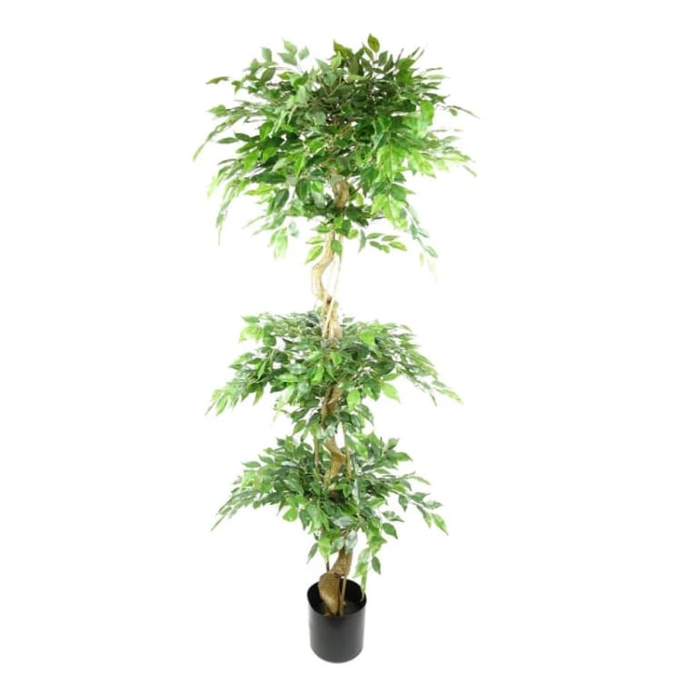 Image of Leaf Design 180cm Artificial Twisted Trunk Fruticosa Ficus Tree Triple Ball Topiary( 1984 Leaves)