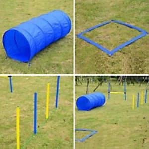 Image of PawHut Pet Agility Set 6x Steel Stakes, 4x Spikes, 4x Lunch Box Spikes Blue, Yellow