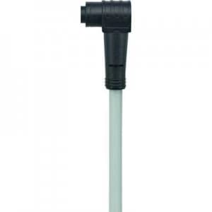 Image of Escha 8052696 AL WKP4 2P00