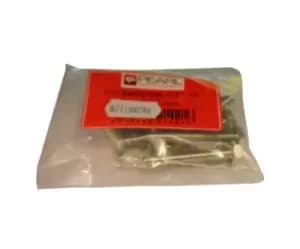 Image of M6 X 40mm Set Screw Pearl