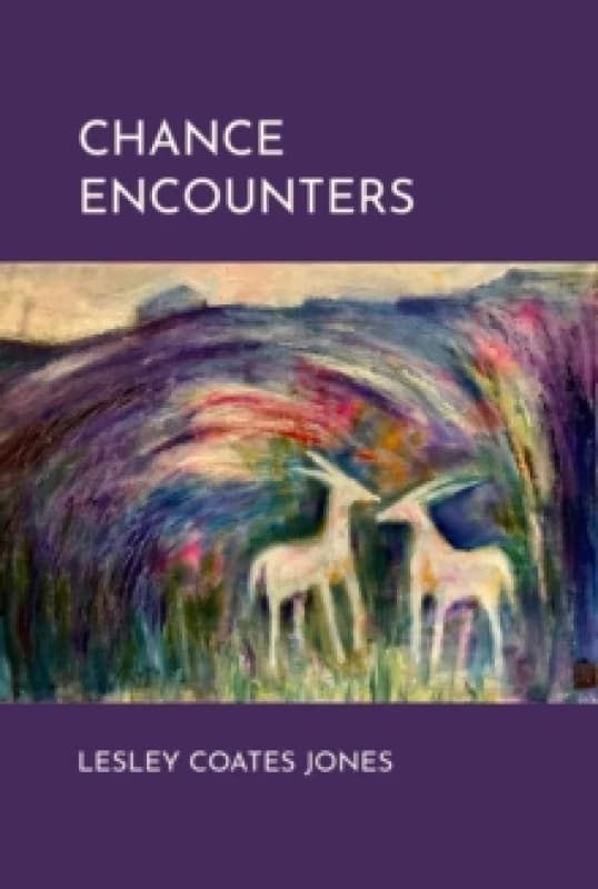 Image of Chance Encounters Hardback