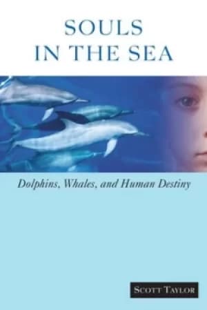 Image of Souls in the sea by Scott Taylor