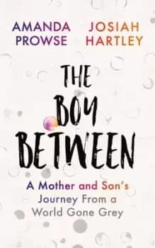 Image of The boy between by Amanda Prowse