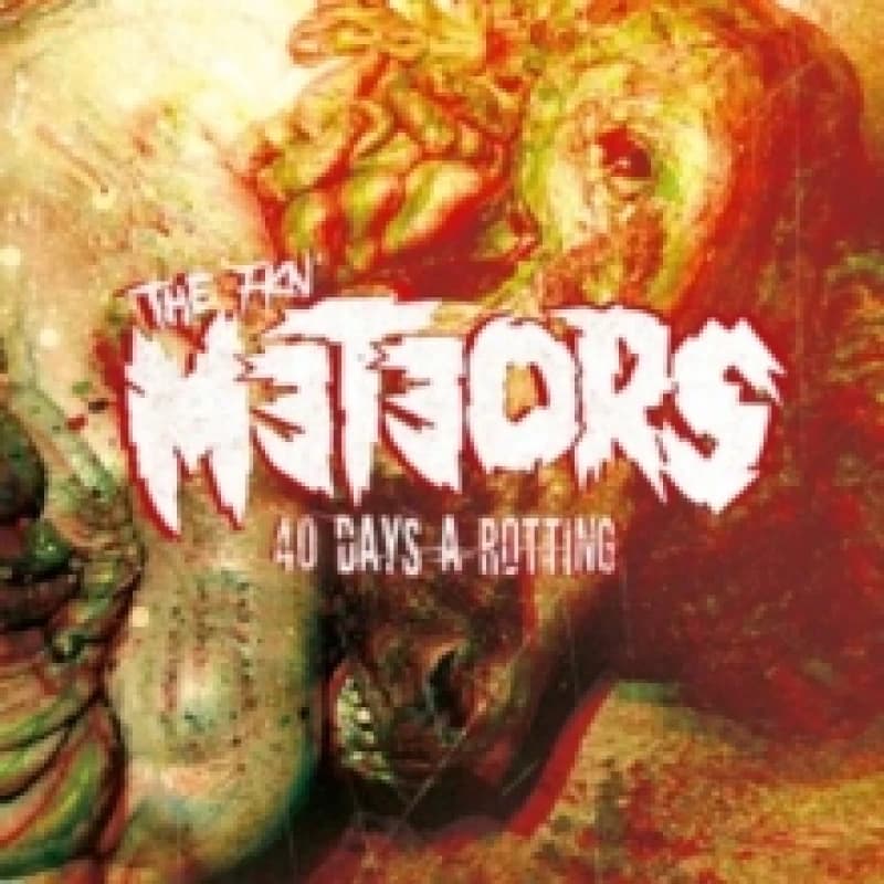 Image of 40 days a rotting Vinyl