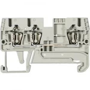 Image of Wieland 56.704.5055.0 WKFN 4 D1235 Grau 0.13 6 mm2 Grey