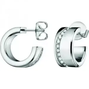 Image of Ladies Hook Earrings