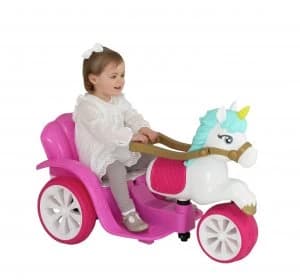 Image of Evo Enchanted Carriage Ride on