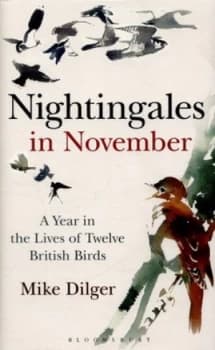 Image of Nightingales in November by Mike Dilger Hardback