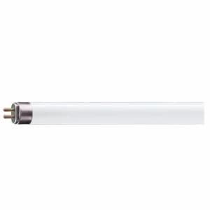 Image of KnightsBridge 8W T5 12" Fluorescent Bulb - Cool White