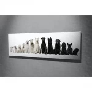Image of PC152 Multicolor Decorative Canvas Painting