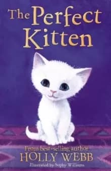 Image of The Perfect Kitten