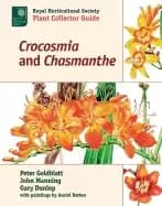 Image of crocosmia and chasmanthe