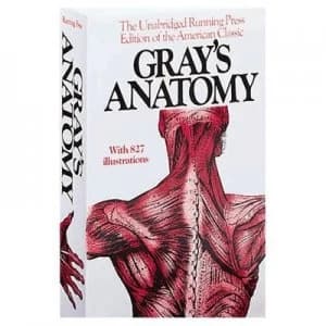 Image of Grays Anatomy by Henry Gray Paperback