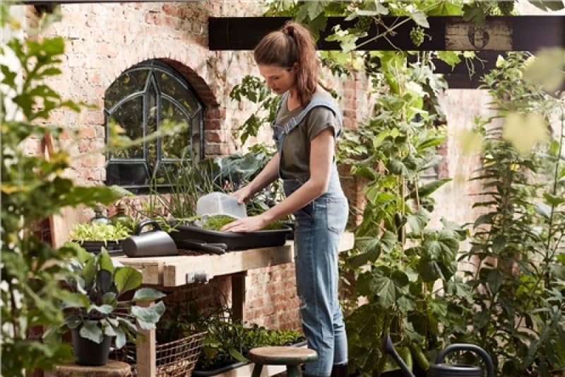 Image of Elho Green Basics Grow House M - Transparent