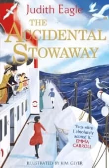 Image of The Accidental Stowaway : 'A rollicking, salty, breath of fresh air.' Hilary McKay