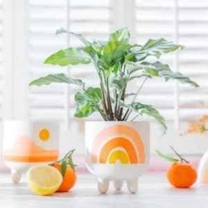Image of Sass & Belle Rainbow Planter on Legs