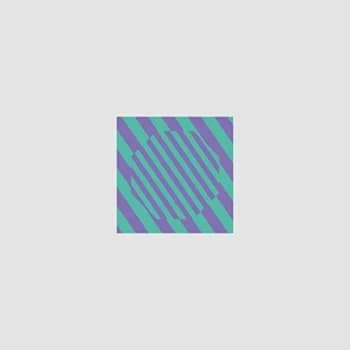 Image of Caribou - Never Come Back (Four Tet/Morgan Geist Remixes) Vinyl