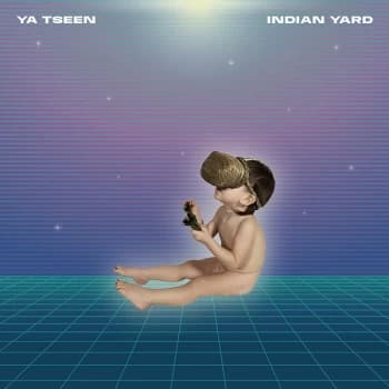 Image of Ya Tseen - Indian Yard Vinyl
