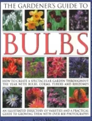 Image of gardeners guide to bulbs how to create a spectacular garden through the yea