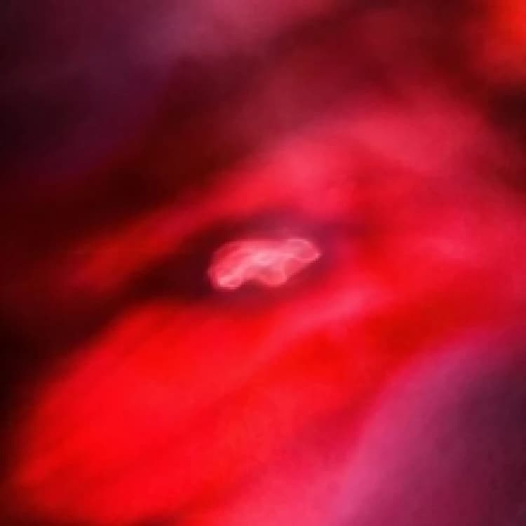 Image of The Faded Orbit CD / Album Digipak