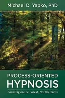 Image of Process-Oriented Hypnosis : Focusing on the Forest, Not the Trees