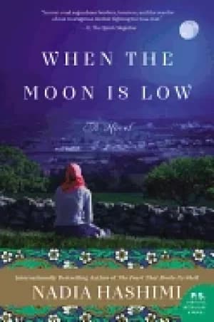 Image of when the moon is low a novel