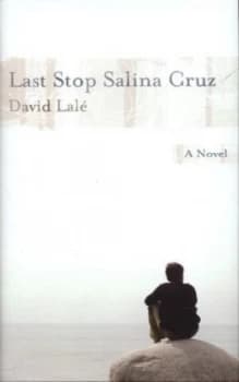 Image of Last Stop Salina Cruz by David Lal Hardback