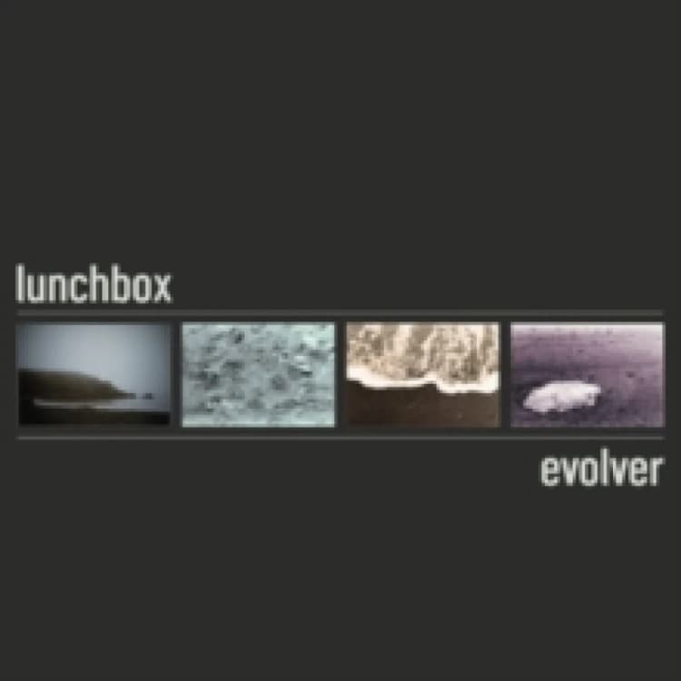 Image of Evolver Vinyl