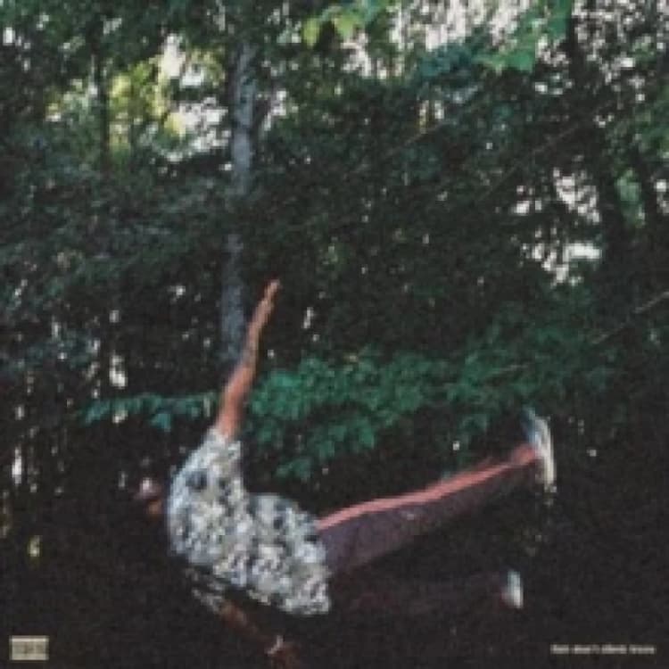 Image of Chester Watson Fish Don't Climb Trees (Vinyl) 12 Album Coloured Vinyl