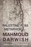 Image of palestine as metaphor