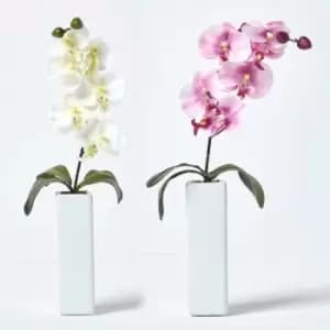 Image of Homescapes - Set of 2 Artificial Pink & Cream Orchids in Thin Cream Vases, 43 cm