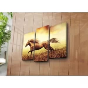 Image of 3NATPAT-28 Multicolor Decorative Canvas Painting (3 Pieces)