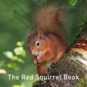 Image of The red squirrel book by Jane Russ