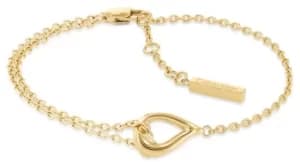 Image of Calvin Klein 35000077 Gold Tone Teardrop Bracelet Jewellery