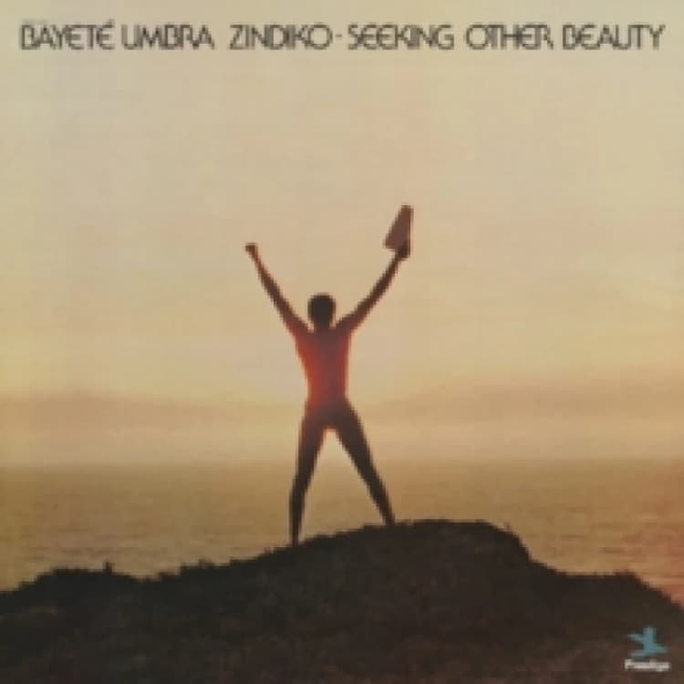 Image of Seeking Other Beauty (All-analog) Vinyl