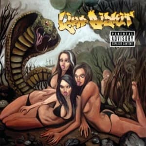 Image of Gold Cobra by Limp Bizkit CD Album